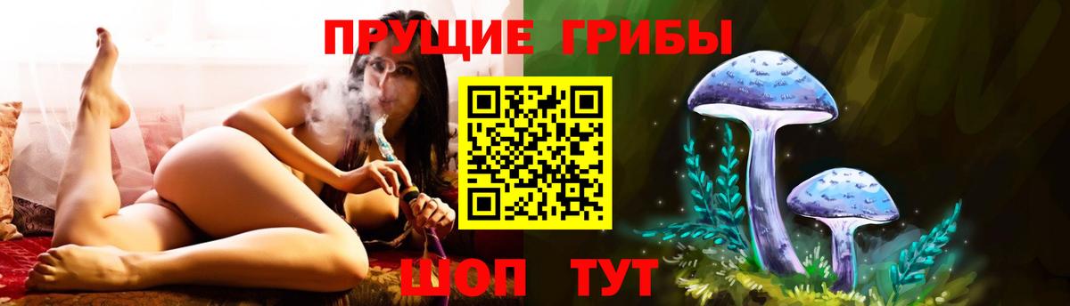 Псилоцибиновые грибы ЛСД Приморско-Ахтарск